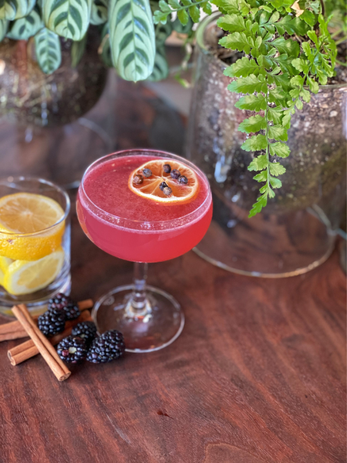 Picture of Drops of Juniper cocktail in a low martini glass