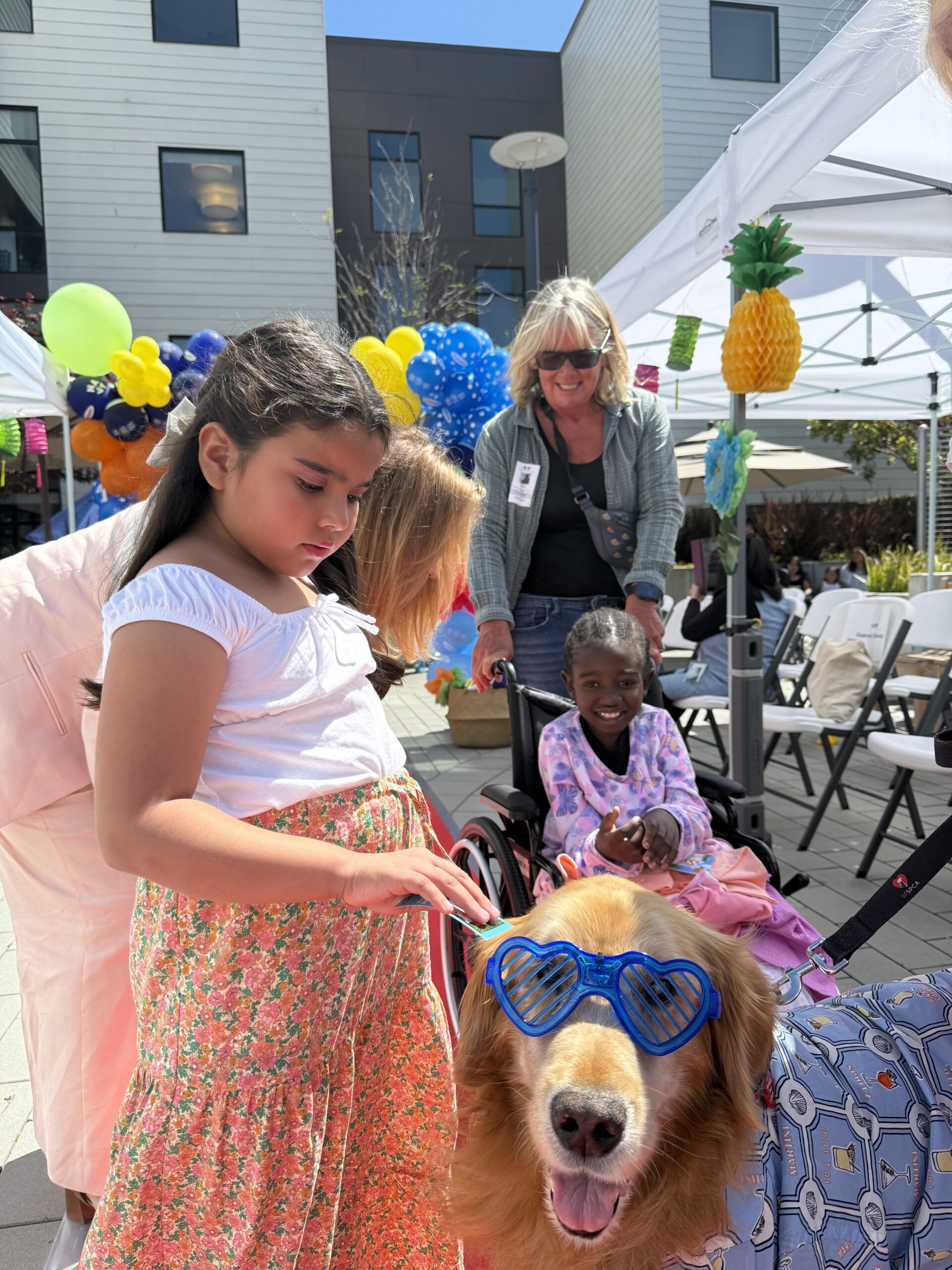 therapy dog