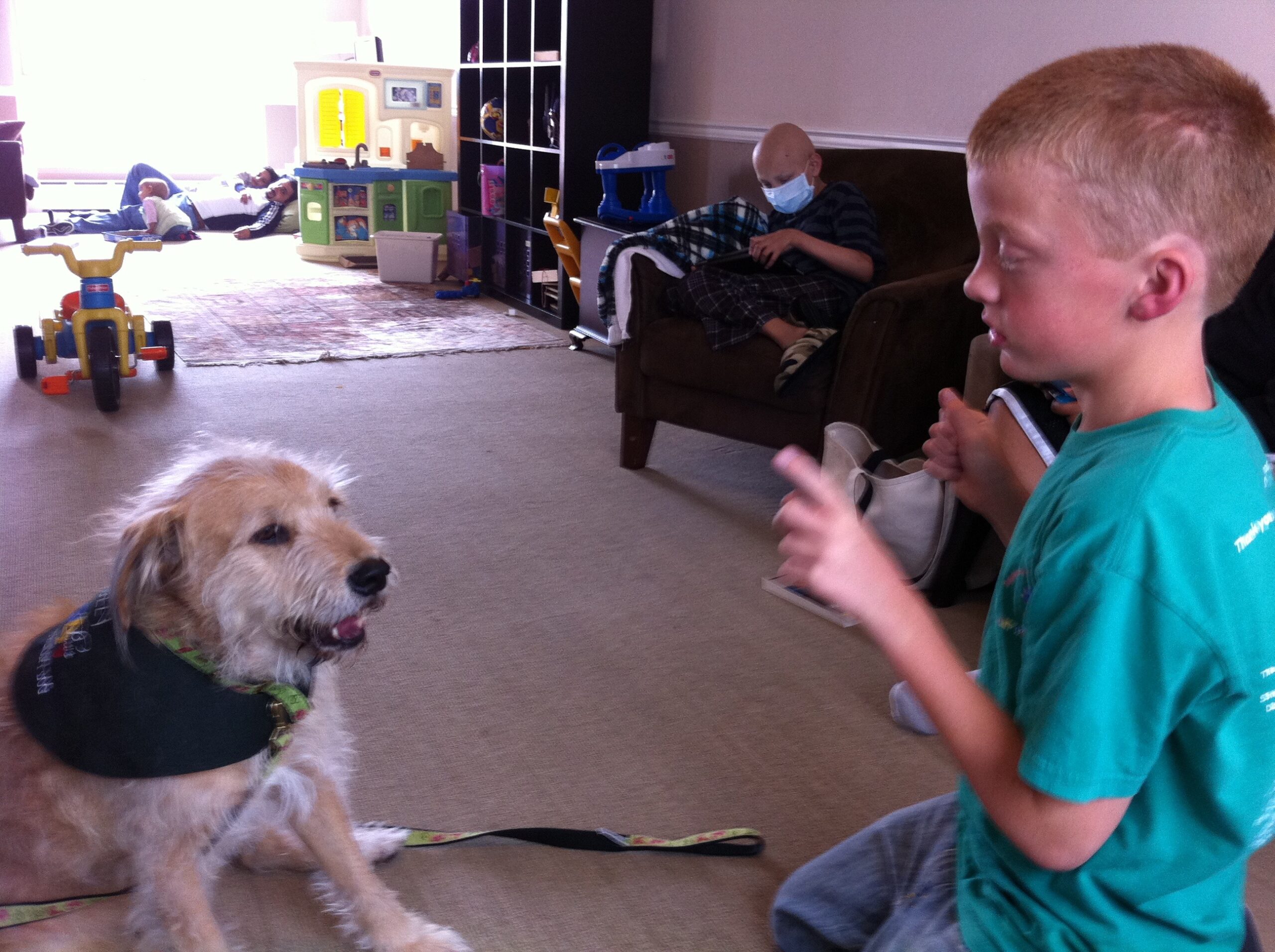Therapy Dog Fozzy and young boy Noah