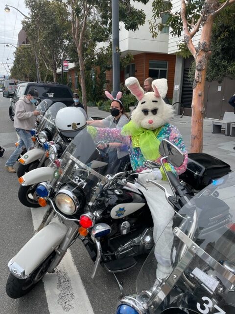 bunny on motorcycle