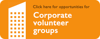 Corporate volunteer groups
